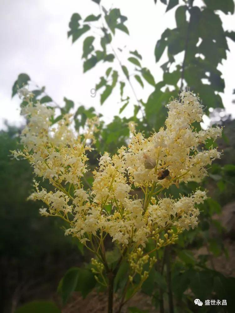 有哪些类似《花千骨》的电视剧推荐？